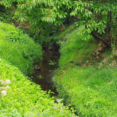 Kervouyec creek park