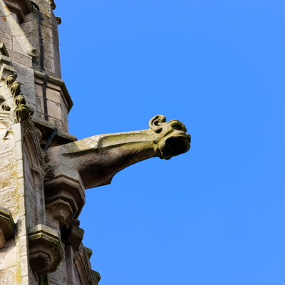 Basilique Notre-Dame du Roncier - Gargouille