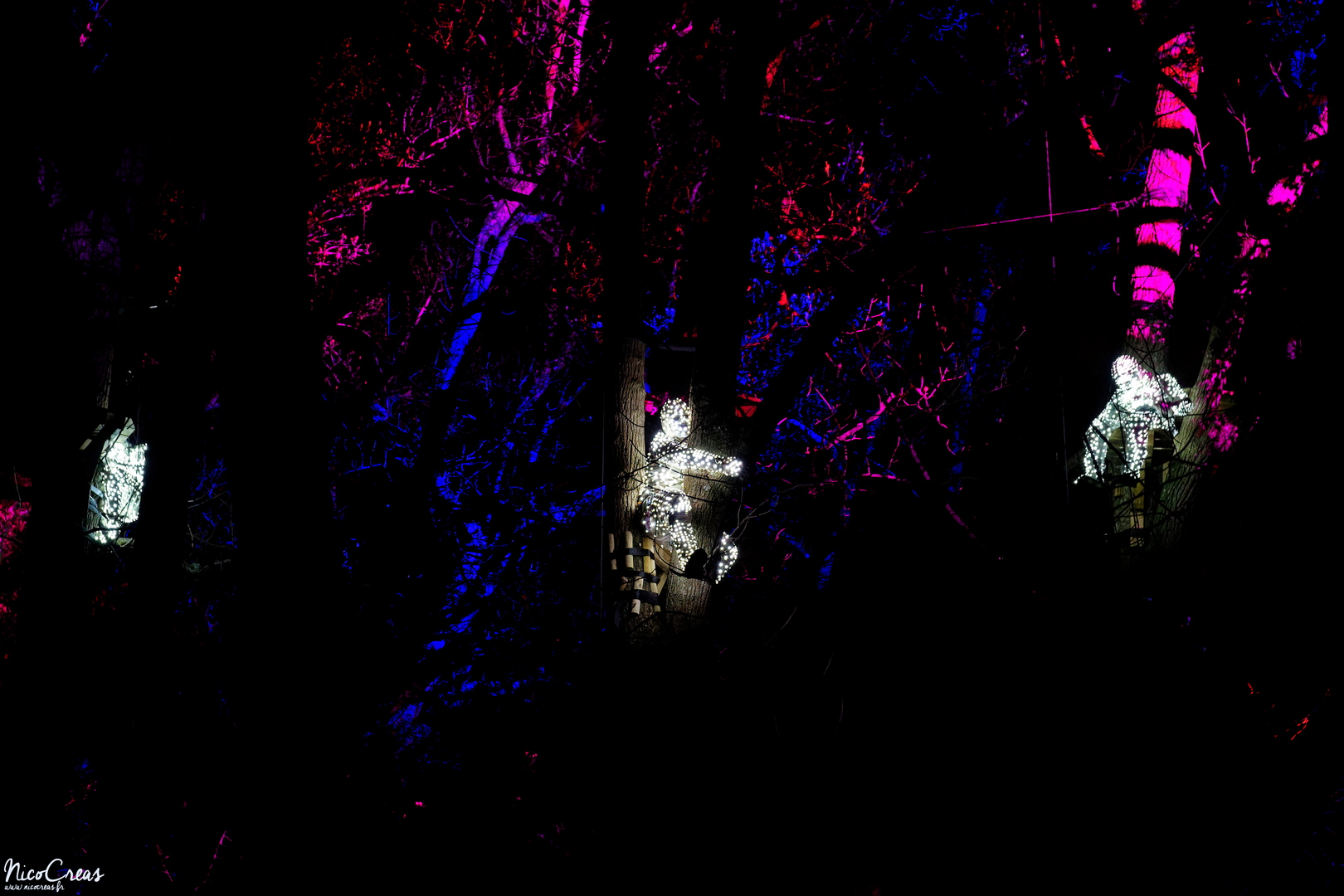 Parc de la Tête d'Or, Lyon 6

---

Les artistes : Groupe F - Christophe Berthonneau
Production : Groupe F

---

« Des primates de lumières, essence de notre humanité, évoluent dans les arbres. Ces êtres d’une autre ère observent, sur une musique de Scott Gibbons, la richesse de notre biodiversité projetée sur des totems lumineux. Sur la pelouse, tel un chapelet lumineux, les structures s’égrènent pour finir leur course dans le lac. Sur les eaux lacustres, une planète bleue se reflète avant de s’enflammer. Alors que le feu se propage, des flammes jaillissent du sol et font disparaitre la forêt lumineuse et le peuple de lumière avant qu’ils ne renaissent de leurs cendres. Puis, le ballet sylvestre reprend son cours et ouvre sur un nouveau cycle. Fiction high-tech, cette œuvre est une ode au vivant. »