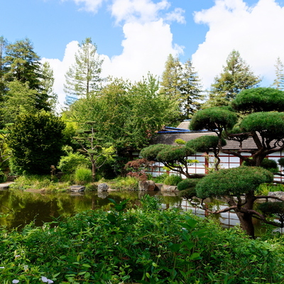 Ile de Versailles - Promenade au jardin japonais