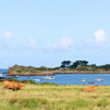 Île de Bréhat